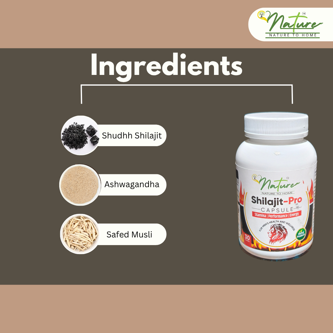 onature shilajit capsule